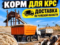Жом — корм для КРС. Отгрузка самосвалами 16–18 тонн. - Питательный — 照片 1