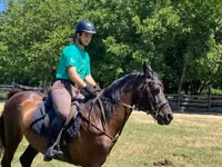 Horse (M), Furioso-North Star — photo 4