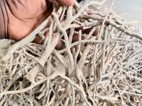 Mondia Whitei Root, 100g/ 60gh, Wild Harvest, 100% Natural — photo 5