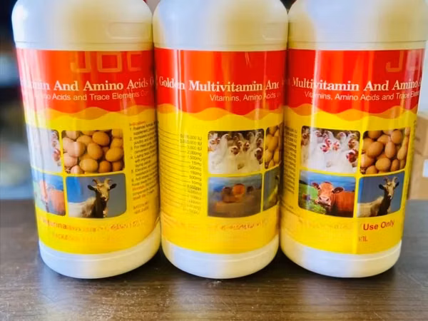 Golden Multivitamin and Amino Acids