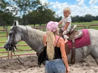 Stute, Quarter Horse — Foto 3