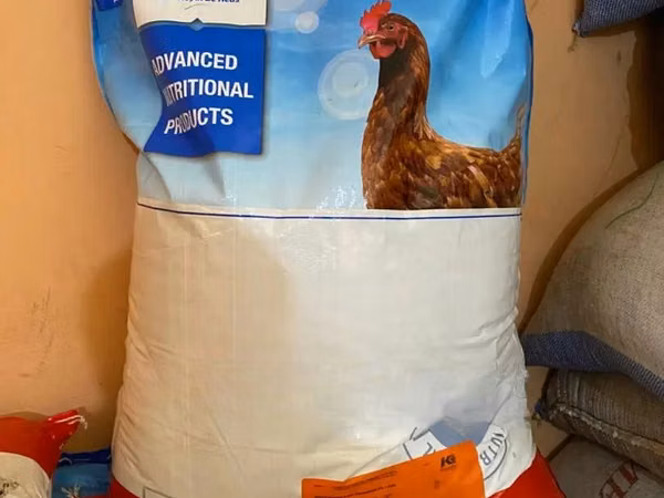 Poultry Feed Concentrate 5%