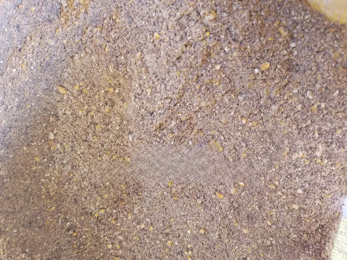 Quail Feed