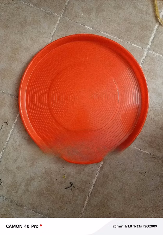 Chicks Trays