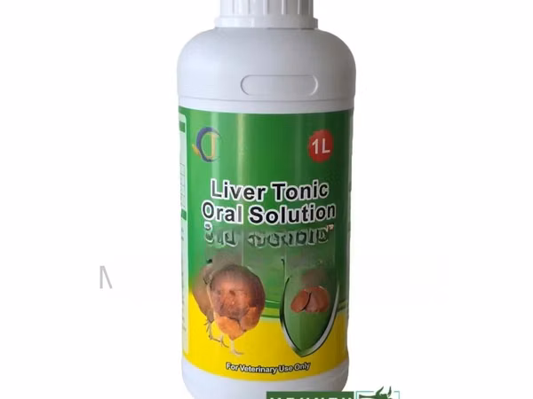 Liver Tonic (Medicine for Liver and Kidney)