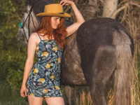 Hengst, Altai horse — Foto 1