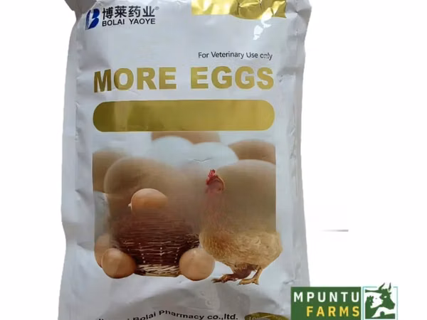 More Eggs Feed Additive