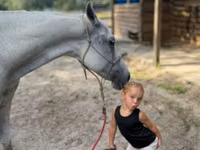 Stute, Quarter Horse — Foto 4