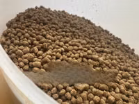 High Protein Fish Feed — photo 2