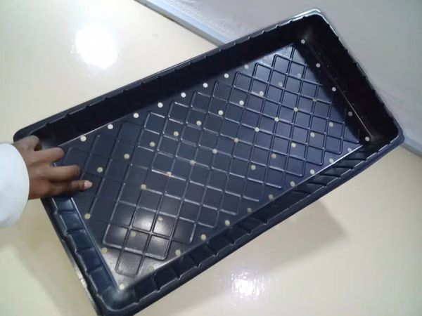 . Perforated Trays for Moisture Control - With Holes
