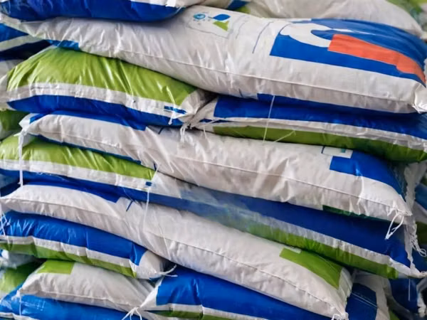 Catfish and Tilapia High Protein Feed
