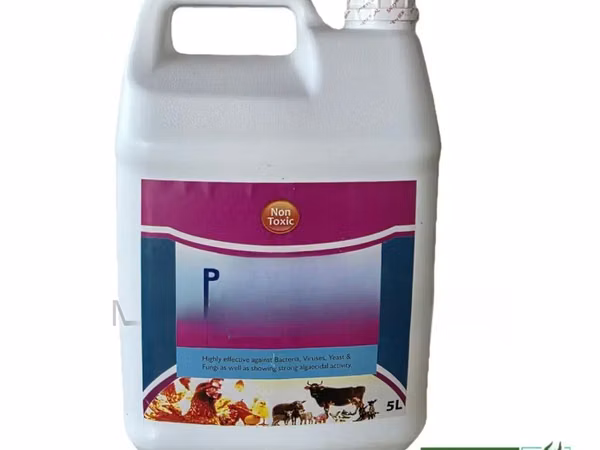 Patholyte Disinfectant 5ltrs