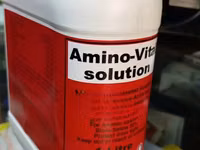 Amino-Vital Solution for Cattle, Sheep, Pigs, Poultry, Goats — photo 1