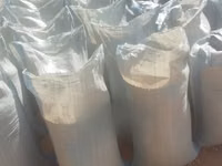 Yellow Maize for Sell — photo 3