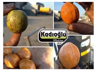 Curăţător de nuci kadioglu nutmec 180e rapid si simplu!!! — Foto 4