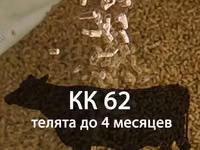 Комбикорм-концентрат для телят (гранулированный) — الصورة 3