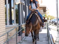 Yegua, Quarter Horse — foto 4