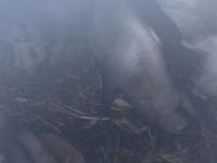 Säue, Schweine — Foto 3