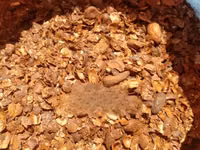 Cocoa Shells — photo 2