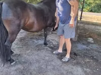 母马, Horses — 照片 6