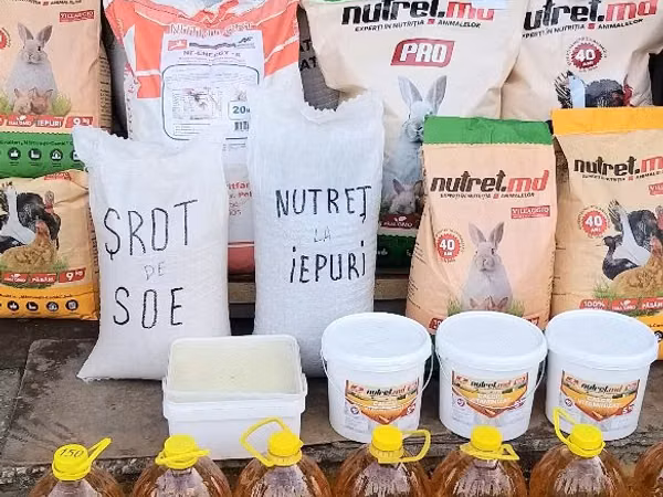 Vind korm pentru - pui; kurkani; rațe; boboci!!