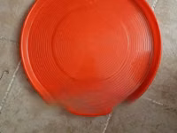 Chicks Trays — photo 1