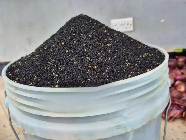Mbegu Za Vitunguu(red Onion Seeds)