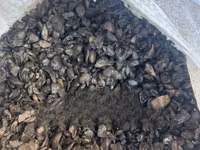 Palm Kennel Shell for Sale in Accra — Foto 2