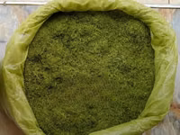 Animal Feed - Moringa Chaff — photo 4