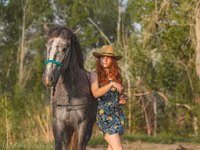 Hengst, Altai horse — Foto 3