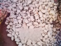 Ghanaian Local Beans — photo 1