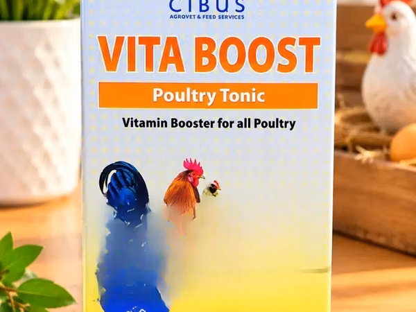 Vita Boost