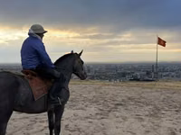 حصان, Hanoverian — الصورة 3