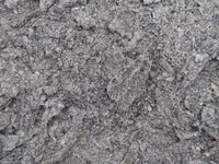 Macuc de Floarea soarelui prăjit.calitate 100%.Edineț. — 照片 1