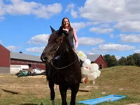 حصان, Percheron — الصورة 6