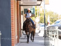 Yegua, Quarter Horse — foto 3