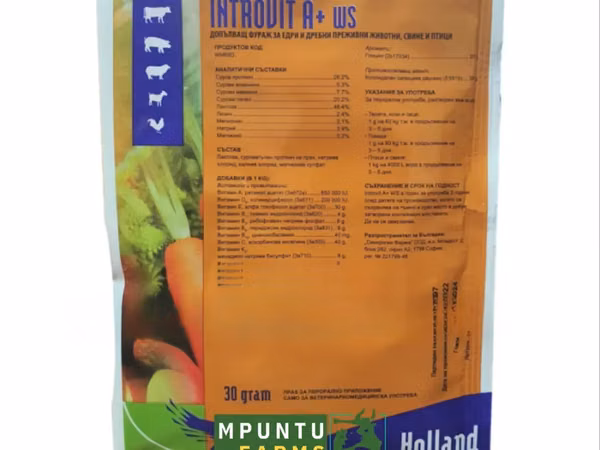 Introvit A+(Multivitamins)