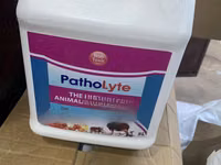 Patholyte Disinfectant — photo 2