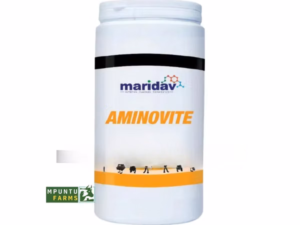 Aminovite- (Pure Multivitamins With Amino Acids )