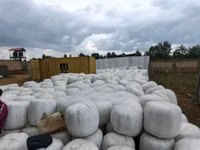 Full Corn Silage — 照片 2
