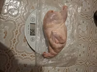 تكساس إيه آند إم — الصورة 2