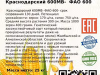 Семена кукурузы. Жугери тукымы. — foto 4