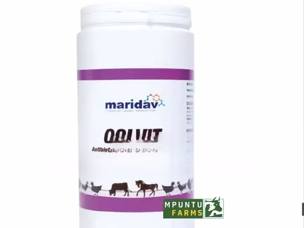 Colvit (Antibiotics Vitamins)