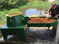 Se vinde utilaj pentru decorjirea nucilor Kadioglu Nutmec 180E — 照片 1