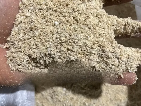 Maize Bran