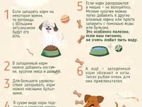 Корм для собак экструдированный — 照片 2
