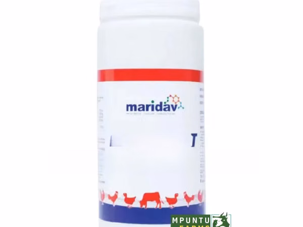 Neotetravite Antibiotic Vitamins