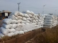 Palm Kennel Shell for Sale in Accra — Foto 4