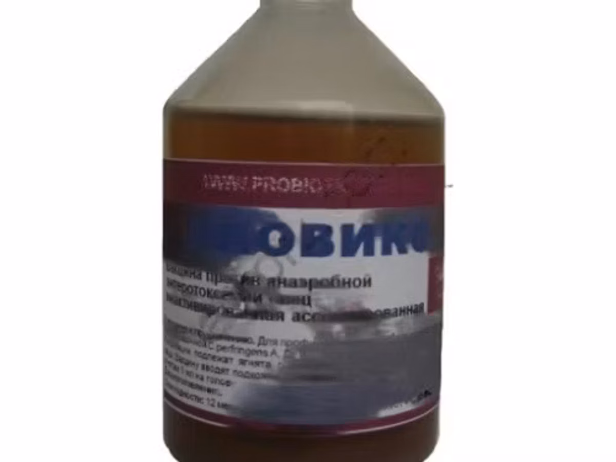 КЛОВИКС для профилактики анаэробной энтеротоксемии овец