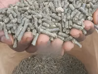 Alfalfa Pellets 25 Kg Also Wholesale Price Available. — photo 1